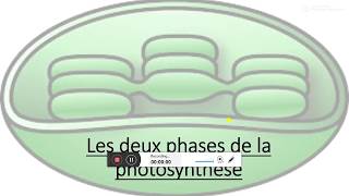 TS spé La photosynthèse par les expériences [upl. by Mussman]