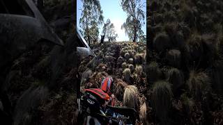 JUST SEND IT 🔥✊️💯 hardenduro 2stroke dirtbike moto hillclimb ktm send enduro happy love [upl. by Brookes]