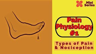 Pain Physiology 1 Types of Pain and Nociception [upl. by Carnay]