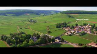 Le vignoble de Bourgogne vu du ciel  Sur la route des Grands Crus [upl. by Arabella]