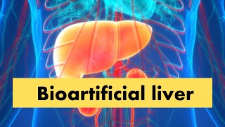 Bioartificial Liver  Artificial Liver  Liver [upl. by Nomit592]