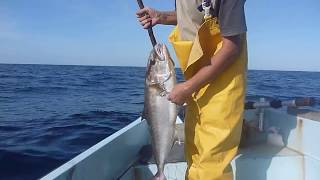 Pêche à la sériole à Tigzirt sur mer Algérie avec mon ami Akli [upl. by Heilman]