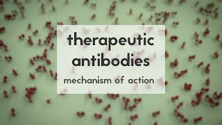 Therapeutic antibodies Part 2 mechanism of action [upl. by Modestine720]