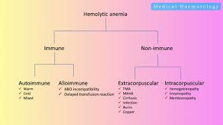 Medical haematology  Intravascular vs Extravascular haemolysis exam notes table contents [upl. by Nuhsar]