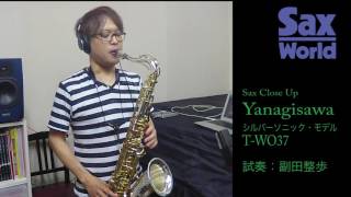 Yanagisawa TWO37 [upl. by Ymme]