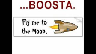 Boosta  Fly me to the moon cover Frank Sinatra [upl. by Grimaud]