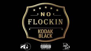 Kodak Black  No Flocking clean [upl. by Silverstein637]