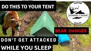 Multiple Bear Attacks in July 2017 How to Defend Yourself From Backcountry Grizzlies amp Black Bears [upl. by Chilton549]