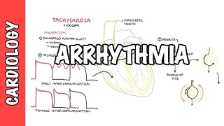 Arrhythmia Overview  Mechanism of bradyarrhythmia and tachyarrhythmia [upl. by Saw]