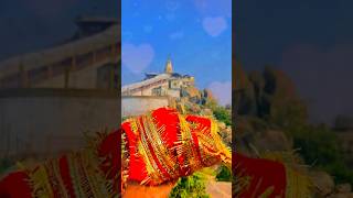 Cg song  Cg navratri status  cgsong navratri cg trendingshorts trending viralvideo cgviral [upl. by Lehcnom]