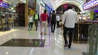 Mobilenet SSD Pedestrian Detection and Tracking [upl. by Retsub227]