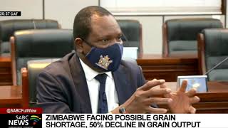 Zimbabwe faces a possible grain shortage [upl. by Jareb]