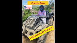 In Puerto Rico at the Carabali Ranch Adventure Park ATV tour [upl. by Zedekiah]