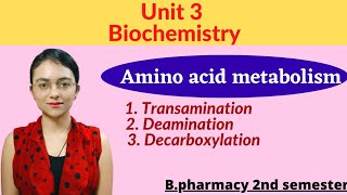 Amino acid metabolism Transamination Deamination and Decarboxylation with notes Biochemistry 2 sem [upl. by Seiber]