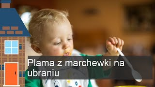 Usuwanie plam z marchwi z odzieży [upl. by Fanny76]