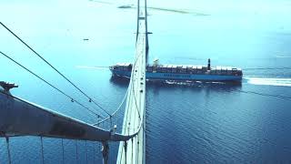 Watch the gigantic containership TripleE sailing under the Great Belt Bridge  Maersk [upl. by Goetz]