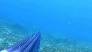 Spearfishing CroatiaHvar 14122014 [upl. by Melda]