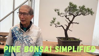 Pine Bonsai Simplified [upl. by Eidda705]