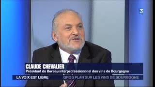 1ere partie  Le point sur le monde viticole dans La Voix est libre du 24 janvier 2015 [upl. by Janka]