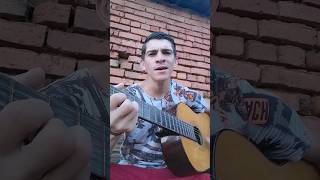 Sinônimos no Violão Zé Ramalho feedshorts cover viral [upl. by Gwenora920]