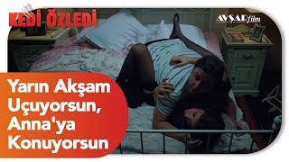 Yarın Akşam Uçuyorsun Annaya Konuyorsun Kedi Özledi Film [upl. by Lore]