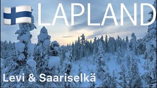 Lapland 2024  1 week in Levi amp Saariselkä 🇫🇮 [upl. by Raquela]