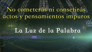 La Luz de la Palabra  No cometerás ni consentirás actos y pensamientos impuros [upl. by Partridge]