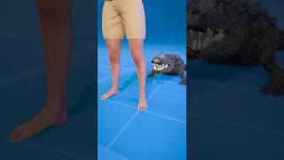 How To Escape An Alligator Death Roll 😨  Melon Playground alligator [upl. by Heidie]