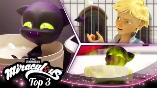 MIRACULOUS  🐞 PLAGG 🔝  SEASON 1  Tales of Ladybug and Cat Noir [upl. by Ajnos]