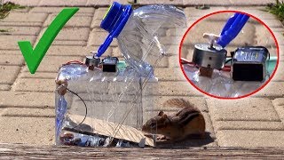 How to make a mouserat trap with a water bottle [upl. by Abram]