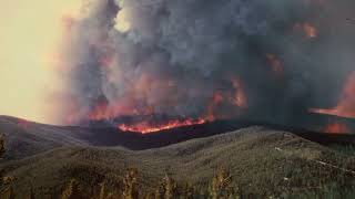 The Butte Fire Staff Ride [upl. by Ainevul791]