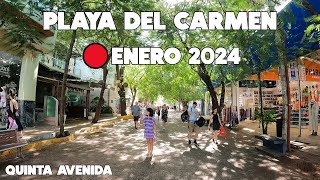 QUINTA AVENIDA RECORRIDO🔴ACTUALMENTE 8 ENERO 2024 Y LLEGA SARGAZO [upl. by Dru]