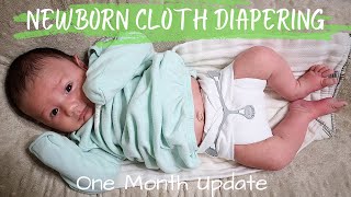 Newborn Cloth Diapering First Month  Reviews  Favorites  One Size [upl. by Philips]