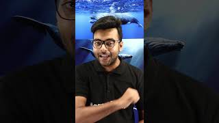 Amazing Discoveries 😮 Why is Whale 🐳 Vomit So Expensive  Suprising Fact ytshorts [upl. by Aruam]