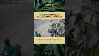 MALING TUMBANG DIHANTAM BALOK [upl. by Enyledam]