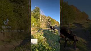 Flottsbro bikepark mtb mtbsends downhill sender fullsendordontsend jump send NoamSoreke [upl. by Leuqim38]