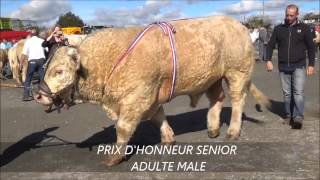 CONCOURS AGRICOLE VAL DARROUX GUEUGNON 2014 [upl. by Aimac]