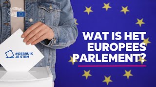 Wat is het Europees Parlement [upl. by Keppel]