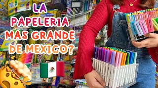 VISITE LA PAPELERÍA MÁS GRANDE DE MÉXICO 🤑📚🖍️✂️  Study with Sol [upl. by Enimajneb676]