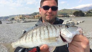 Trabucco TV  Surfcasting  Surf spiagge profonde [upl. by Naerad]