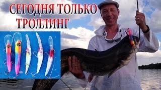 СЕГОДНЯ ТОЛЬКО ТРОЛЛИНГ ЛОВИМ ПО ГЛУБИНАМ 5 И 8 МЕТРОВ РЫБАЛКА НА АХТУБЕ [upl. by Rowena744]