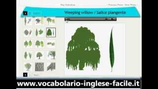 Vocabolario Inglese Facile Alberi httpwwwfacileanglaiscom [upl. by Ettesoj30]