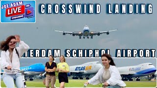 STRONG CROSSWIND Landings LIVE at Amsterdam Schiphol Airport [upl. by Sirotek]