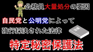 【歴史解説】与党によって強行採決された特定秘密保護法とは [upl. by Glennie]