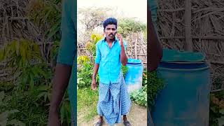 kavalan movie vadivel comedy viralshorts subscribe😍😍 pannaga [upl. by Hobey802]