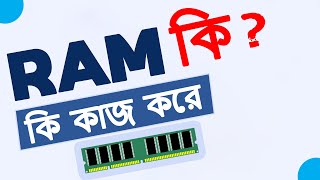 সস্তায় মাদারবোর্ড র‍্যাম প্রসেসর কিনুন  Computer Accessories Best Price In BD 2023  Robin Vlogs [upl. by Argella852]