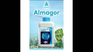 Almagor fungicide Adama new fungicide  અદામાં ફૂગનાશક  azoxystrobin prochloraz tabuconazole [upl. by Kirad]