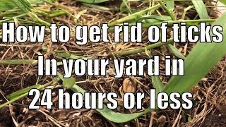 How to get rid of ticks in your yard in 24 hours or less [upl. by Boigie611]