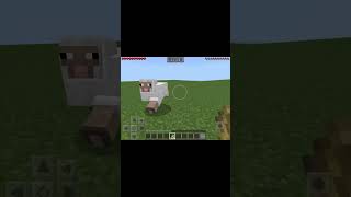 Sheep Rap Flocking Hostile  by Dan Bull Edit minecraft minecraftedit minecraftshorts [upl. by Pelagi]