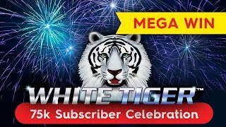 White Tiger Slot  MEGA WIN SESSION  INCREDIBLE RETRIGGER [upl. by Addi]